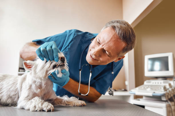 Best Emergency Tooth Extraction in Bay St Louis, MS